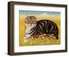 The Oxford Cat, 2001-Frances Broomfield-Framed Giclee Print