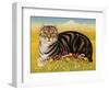 The Oxford Cat, 2001-Frances Broomfield-Framed Giclee Print