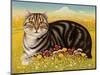 The Oxford Cat, 2001-Frances Broomfield-Mounted Giclee Print