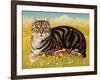 The Oxford Cat, 2001-Frances Broomfield-Framed Giclee Print