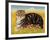 The Oxford Cat, 2001-Frances Broomfield-Framed Giclee Print