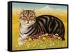 The Oxford Cat, 2001-Frances Broomfield-Framed Stretched Canvas