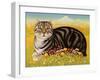 The Oxford Cat, 2001-Frances Broomfield-Framed Giclee Print