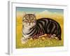 The Oxford Cat, 2001-Frances Broomfield-Framed Giclee Print