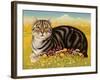 The Oxford Cat, 2001-Frances Broomfield-Framed Giclee Print