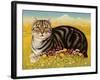 The Oxford Cat, 2001-Frances Broomfield-Framed Giclee Print