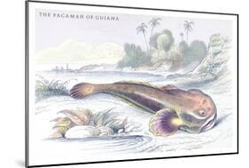 The Pacamah of Guiana-Robert Hermann Schomburgk-Mounted Premium Giclee Print