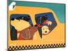 The Pack Instinct Taxi-Stephen Huneck-Mounted Giclee Print