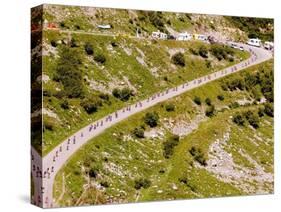 The Pack Rides Down the Glandon Pass During the 17th Stage of the Tour De France-null-Stretched Canvas