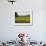 The Pack Rides Past a Sunflower Field During the Sixth Stage of the Tour De France-null-Framed Photographic Print displayed on a wall