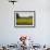 The Pack Rides Past a Sunflower Field During the Sixth Stage of the Tour De France-null-Framed Photographic Print displayed on a wall