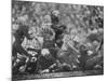 The Packers in Light Jerseys, and the Browns in the Dark-Art Rickerby-Mounted Premium Photographic Print