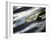 The Pad-Ursula Abresch-Framed Photographic Print