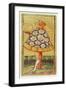 The Page of Coins, from a Pack of Tarot Cards-Antonio Di Cicognara-Framed Giclee Print