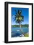 The Pago Pago Harbour on Tutuila Island, American Samoa, South Pacific, Pacific-Michael Runkel-Framed Photographic Print