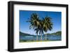 The Pago Pago Harbour, Tutuila Island, American Samoa, South Pacific, Pacific-Michael Runkel-Framed Photographic Print