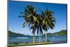 The Pago Pago Harbour, Tutuila Island, American Samoa, South Pacific, Pacific-Michael Runkel-Mounted Photographic Print