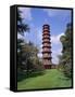The Pagoda, Kew Gardens, Kew, London, England, UK-Roy Rainford-Framed Stretched Canvas