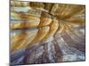 The Painted Cliffs at Maria Island National Park, east coast of Tasmania, Australia-Ernie Janes-Mounted Photographic Print