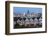 The Painted Ladies and the City at Dusk-Stuart-Framed Photographic Print