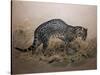 The Painted Ocelot (Felis Picta), C.1850-Joseph Wolf-Stretched Canvas