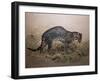 The Painted Ocelot (Felis Picta), C.1850-Joseph Wolf-Framed Giclee Print