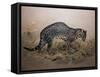 The Painted Ocelot (Felis Picta), C.1850-Joseph Wolf-Framed Stretched Canvas