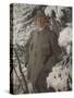 The Painter Bruno Liljefors, 1906-Anders Leonard Zorn-Stretched Canvas