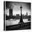 The Palace of Westminster-Craig Roberts-Stretched Canvas