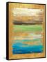 The Palette in Gold-Patricia Pinto-Framed Stretched Canvas