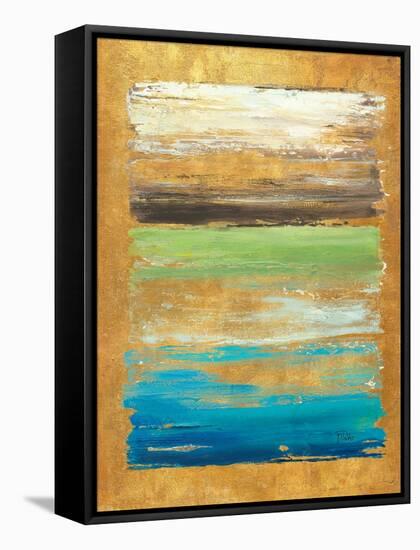 The Palette in Gold-Patricia Pinto-Framed Stretched Canvas