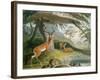 The Pallah, Plate 9 from 'African Scenery and Animals', Engraved by the Artist, 1804-Samuel Daniell-Framed Giclee Print