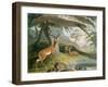 The Pallah, Plate 9 from 'African Scenery and Animals', Engraved by the Artist, 1804-Samuel Daniell-Framed Giclee Print