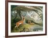 The Pallah, Plate 9 from 'African Scenery and Animals', Engraved by the Artist, 1804-Samuel Daniell-Framed Giclee Print