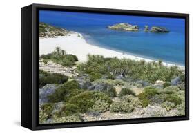 The Palm Beach in Vai, Crete, Greece, April 2009-Lilja-Framed Stretched Canvas