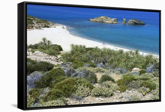 The Palm Beach in Vai, Crete, Greece, April 2009-Lilja-Framed Stretched Canvas