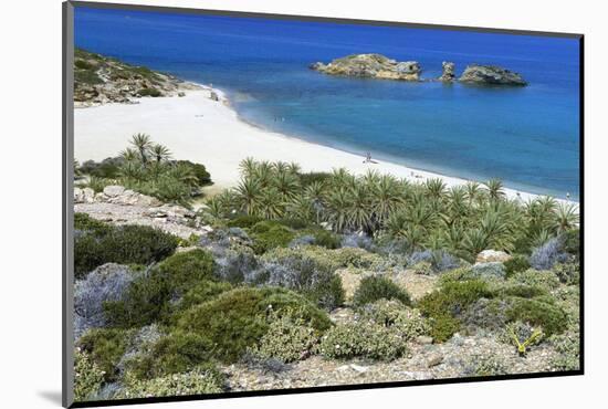 The Palm Beach in Vai, Crete, Greece, April 2009-Lilja-Mounted Photographic Print