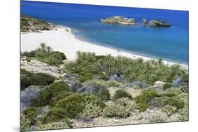 The Palm Beach in Vai, Crete, Greece, April 2009-Lilja-Mounted Photographic Print