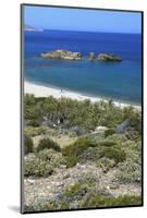 The Palm Beach in Vai, Crete, Greece, April 2009-Lilja-Mounted Photographic Print