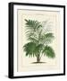 The Palm House I-The Vintage Collection-Framed Giclee Print