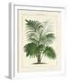 The Palm House I-The Vintage Collection-Framed Giclee Print