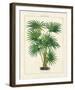 The Palm House II-The Vintage Collection-Framed Giclee Print