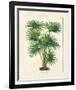 The Palm House II-The Vintage Collection-Framed Giclee Print