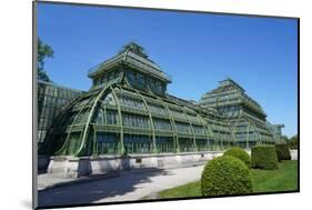 The Palm House in the Schonbrunn Gardens, Vienna, Austria-Carlo Morucchio-Mounted Photographic Print