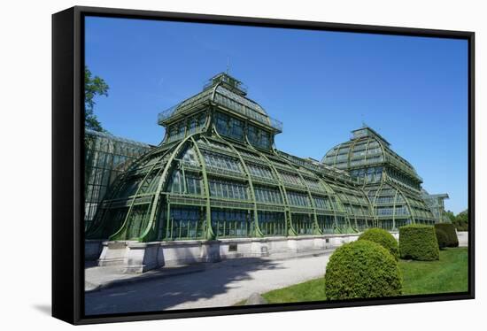 The Palm House in the Schonbrunn Gardens, Vienna, Austria-Carlo Morucchio-Framed Stretched Canvas