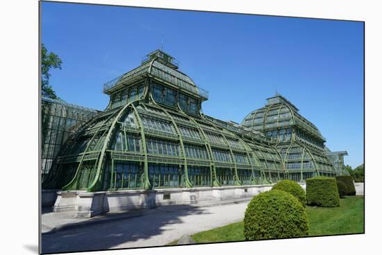 The Palm House in the Schonbrunn Gardens, Vienna, Austria-Carlo Morucchio-Mounted Photographic Print