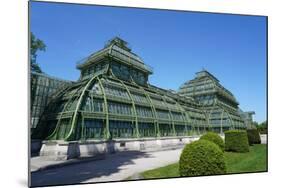 The Palm House in the Schonbrunn Gardens, Vienna, Austria-Carlo Morucchio-Mounted Photographic Print