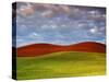The Palouse, Washington, Usa-Richard Duval-Stretched Canvas