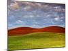 The Palouse, Washington, Usa-Richard Duval-Mounted Photographic Print