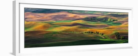 The Palouse-Hua Zhu-Framed Premium Photographic Print